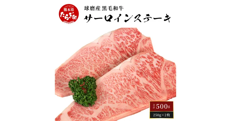 【ふるさと納税】【発送時期が選べる】球磨産 黒毛和牛 サーロインステーキ500g ＜ 250g×2枚 ＞ サーロイン ステーキ 牛肉 選べる配送月 和牛 球磨 球磨郡 牛肉 肉 牛 国産 冷凍 熊本県 多良木町 送料無料