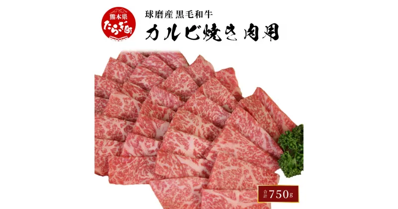 【ふるさと納税】球磨産 黒毛和牛 カルビ焼き肉用 750g カルビ 焼き肉 焼肉 バラ肉 牛肉 かいの身 上質 脂 旨み 肉 お肉 和牛 国産 球磨 球磨郡 冷凍 熊本県 多良木町 送料無料