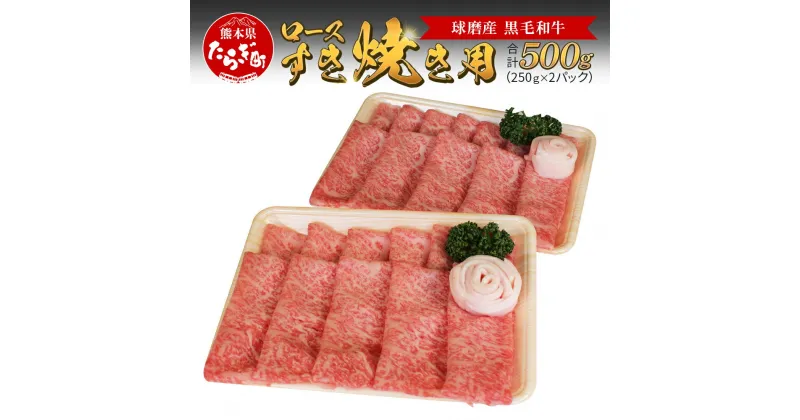 【ふるさと納税】《発送時期が選べる!》球磨産 黒毛和牛 ロースすき焼き用 500g ＜ 250g×2パック ＞ 小分け ロース すき焼き すき焼き用 すきやき 鍋 スライス 牛肉 お肉 肉 牛肉 和牛 旨み 旨味 国産 球磨 球磨郡 熊本県 多良木町 冷凍 送料無料