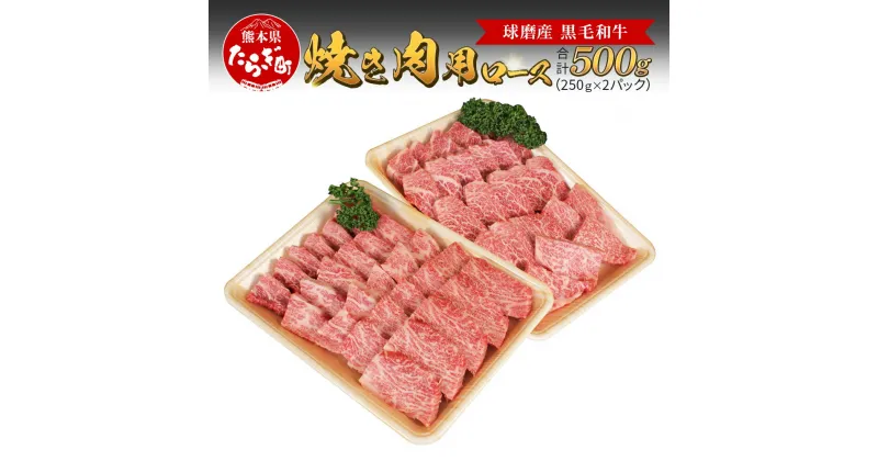 【ふるさと納税】球磨産 黒毛和牛 ロース焼き肉用 計500g ＜250g×2パック＞ 小分け 焼き肉 焼肉 BBQ サーロイン スライス ロース 牛肉 お肉 肉 和牛 国産 球磨 球磨郡 熊本県 多良木町 冷凍 送料無料