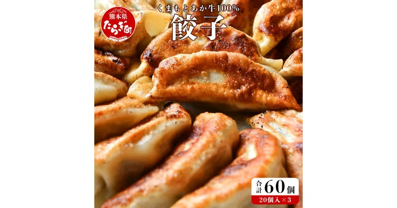 【ふるさと納税】くまもとあか牛100％ 餃子 合計60個 20個入り×3パック ぎょうざ ギョウザ 牛肉 あか牛 赤牛 赤身 おつまみ おかず 惣菜 お弁当 贅沢 ご褒美 国産野菜 冷凍 大容量 国産 九州産 熊本県産 多良木町 送料無料