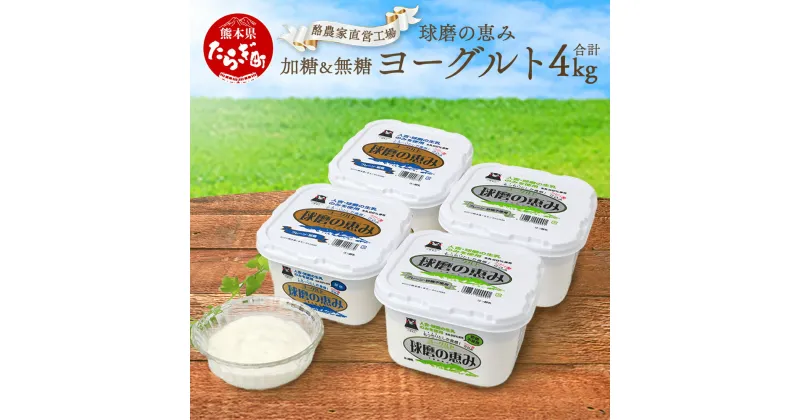 【ふるさと納税】球磨の恵み ヨーグルト 加糖・砂糖不使用 1000g×各2個セット 合計4kg 無糖 プレーン 詰め合わせ 食べ比べ 熊本県 球磨郡 乳製品 生乳 乳酸菌 新鮮 送料無料