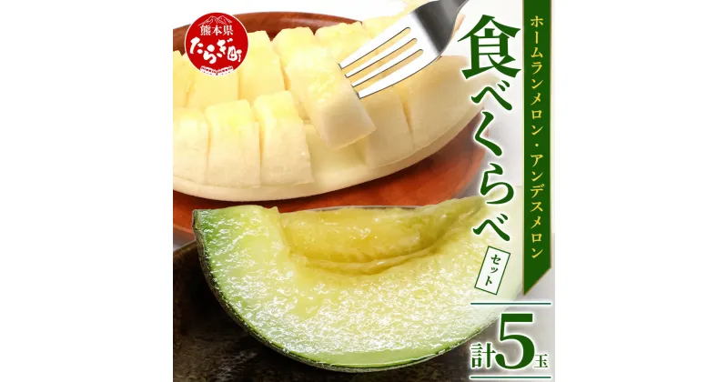 【ふるさと納税】【先行予約】 熊本県産 ホームランメロン アンデスメロン 食べ比べ 総合計 約5kg 計5玉 メロン 果物 フルーツ 甘い 糖度14度以上 さわやかな甘さ 送料無料 【2025年4月中旬発送開始】