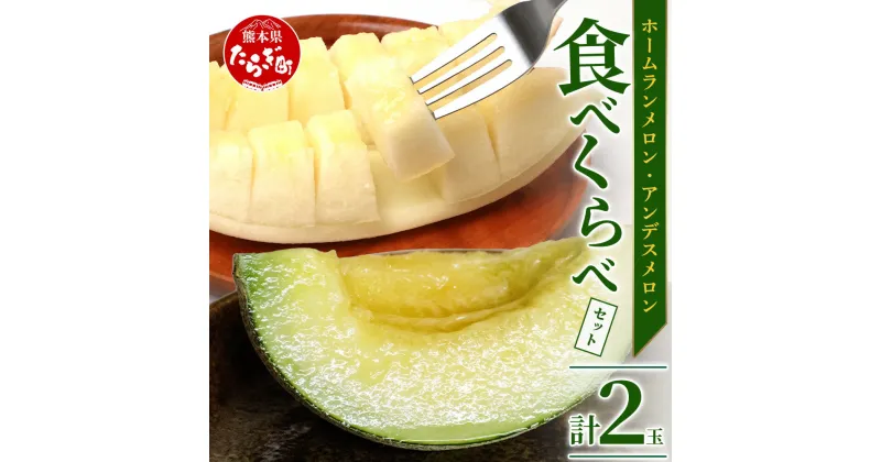 【ふるさと納税】【先行予約】 熊本県産 ホームランメロン アンデスメロン 食べ比べ 総合計 約2.5kg以上 計2玉 メロン 果物 フルーツ 甘い ジューシー 糖度14度以上 さわやかな甘さ 送料無料 【2025年4月中旬発送開始】