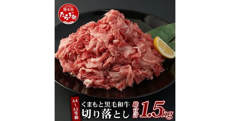 【ふるさと納税】 ギフト A4～A5等級 くまもと黒毛和牛 切り落とし 合計約1.5kg ( 300g×5パック) 贈答用 お歳暮 大容量 ブランド 黒毛和牛 和牛 牛肉 お肉 肉 熊本県 多良木町 国産 冷凍 小分け パック カレー 肉じゃが 特上 ギフト 贈答 贈り物 送料無料