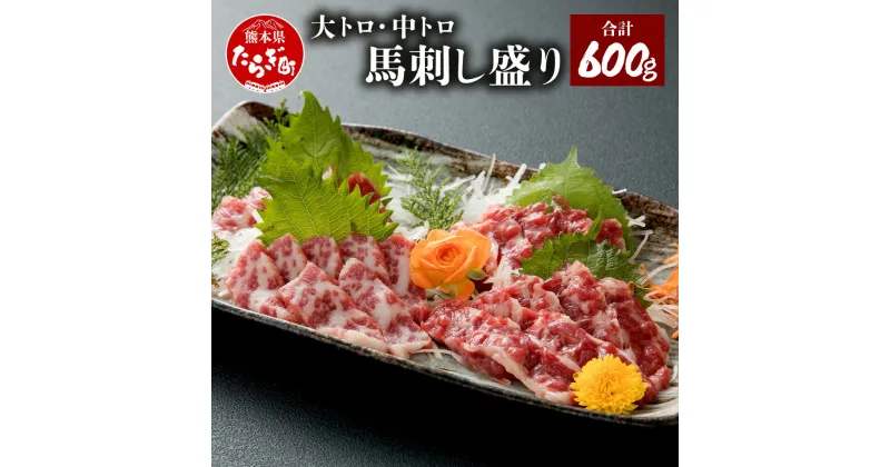 【ふるさと納税】大トロ 中トロ 馬刺し盛り 合計600g 馬刺し セット 食べ比べ 詰め合わせ 馬刺 馬刺し 馬肉 刺身 霜降り 醤油 生姜 冷凍 小分け 真空パック 贅沢2種 国産 フランス産 カナダ産 熊本 熊本県 多良木町 送料無料