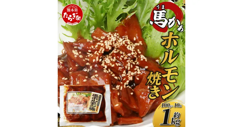 【ふるさと納税】馬かぁ ホルモン焼き 10個セット 合計1kg 100g×10個 小分け 千興ファーム 馬肉1キロ 馬ホルモン ホルモン 馬肉 タレ タレ漬け込み 肉 惣菜 おかず おつまみ お手軽 グルメ 冷凍 熊本県 多良木町 送料無料