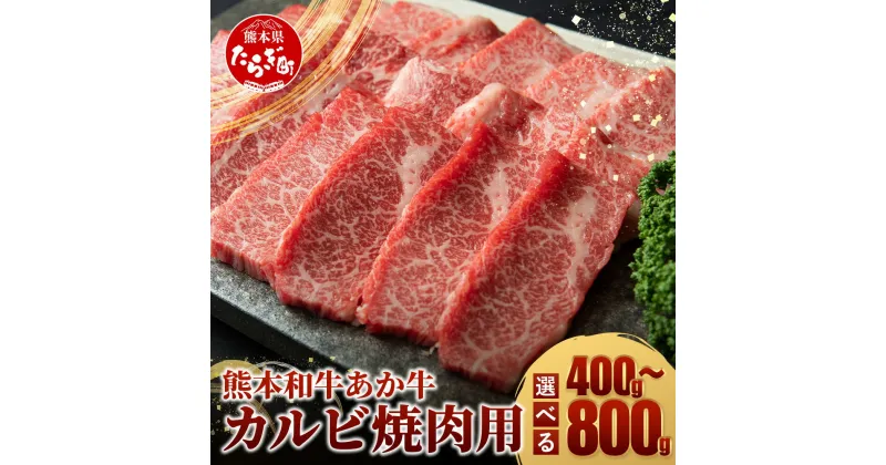 【ふるさと納税】≪配送月 と 容量選べる≫ 熊本県産 あか牛 【 カルビ 焼肉用 400g / 800g 】熊本県 あか牛 かるび 焼肉 焼き肉 BBQ アウトドア 牛肉 赤身 和牛 褐毛和種 お取り寄せグルメ 赤牛 焼肉 BBQ 熊本県産 褐毛和種 冷凍 国産 熊本県産 年内発送 年内送料無料