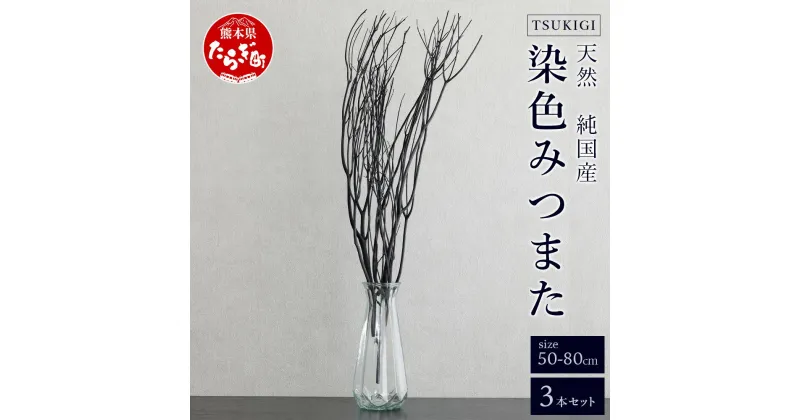 【ふるさと納税】染色 TSUKIGI みつまた 3本 1セット 高さ50cm～80cm インテリア オブジェ 枝 黒 ブラック モダン おしゃれ ドライフラワー スタイリッシュ モノトーン 和 天然 国産 槻木 多良木町 送料無料