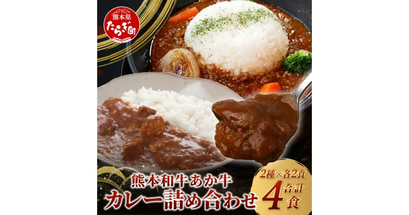 【ふるさと納税】あか牛カレー 詰め合わせ あか牛カレー180g×2・あか牛100％挽肉カレー220g×2 046-0625 国産 熊本県産 送料無料