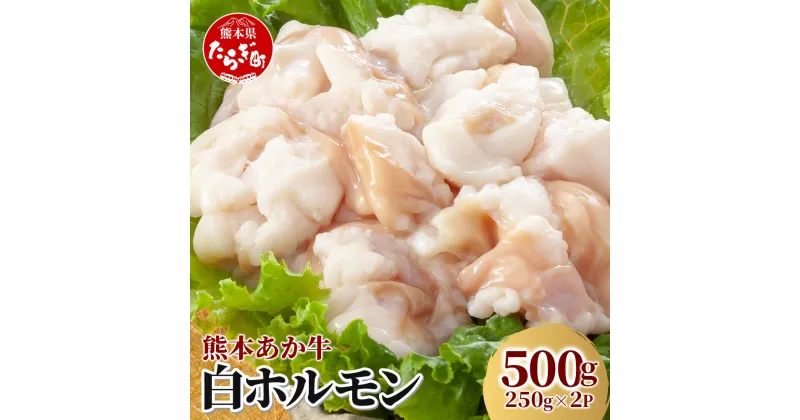 【ふるさと納税】熊本あか牛 白ホルモン (250g×2パック) 計500g 冷凍真空パック 熊本 熊本県産 あか牛 冷凍 真空 もつ鍋 ホルモン 焼き肉 国産 九州産 冷凍 真空 送料無料 041-0135