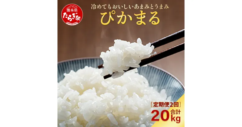 【ふるさと納税】令和6年産 【 新米 定期便2回 】計20kg 多良木町産 『ぴかまる』 10kg (5kg×2袋) ×2回 米 お米 白米 精米 熊本県産 多良木町 粘り 甘み うま味 やわらか 熊本のお米 合計20キロ 044-0592 送料無料 新着