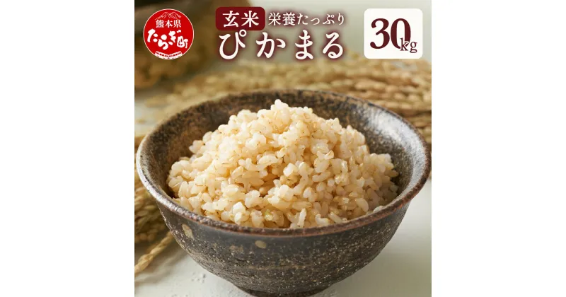 【ふるさと納税】令和6年産 玄米 多良木町産 『ぴかまる』 30kg 米 お米 熊本県産 多良木町 艶 粘り 甘み うま味 もちもち 熊本のお米 30キロ 栄養価 玄米のまま 送料無料 新着