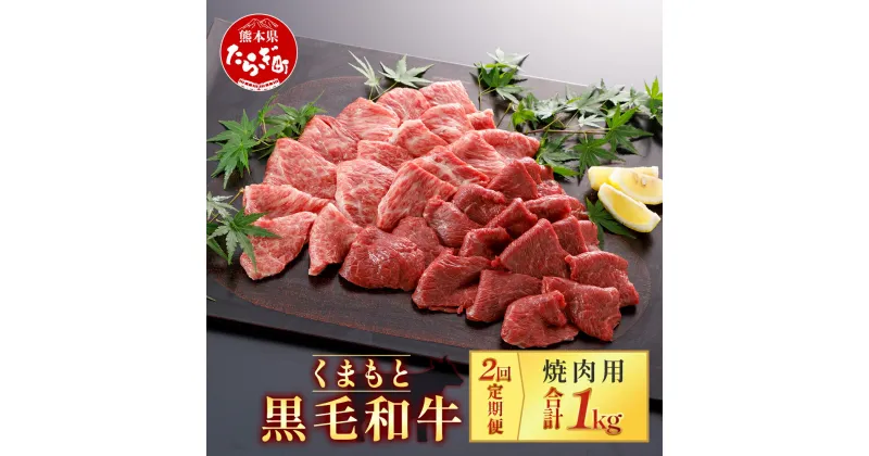 【ふるさと納税】【定期便2回】くまもと黒毛和牛 焼肉用 500g ×2回配送 ブランド牛 合計1kg 牛肉 黒毛和牛 焼肉 焼き肉スライス やきにく 多良木町 国産 和牛 焼き肉 スライス バーベキュー グルメ 肥後 国産 九州 熊本県産 冷凍配送 熊本県 多良木町 定期便 送料無料