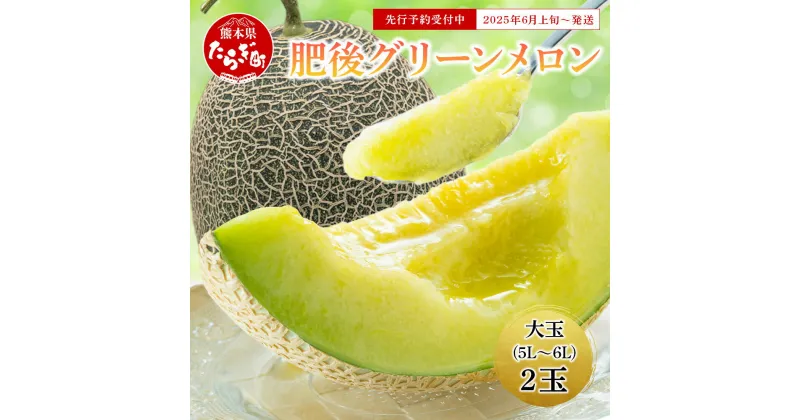 【ふるさと納税】＜ 先行予約 ＞大玉 肥後グリーンメロン 2玉 合計4.6kg以上 ＜＜2025年6月上旬以降発送＞＞ 熊本県 多良木町産 果物 フルーツ グリーンメロン 先行予約 4.6kg 新着 青肉 期間限定 数量限定 熊本県 多良木町 送料無料 101-0001