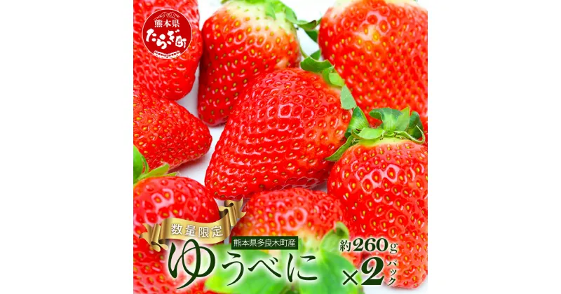 【ふるさと納税】先行予約 熊本県産 いちご【ゆうべに】約260g×2パック 2025年1月～発送 坂下農園 産地直送 国産 新鮮 フレッシュ イチゴ 2パック 苺 フルーツ 果物 春 名産 熊本 多良木町 ビタミン 旬 いちご フルーツ 果物 くだもの 果実 熊本県 多良木町 送料無料