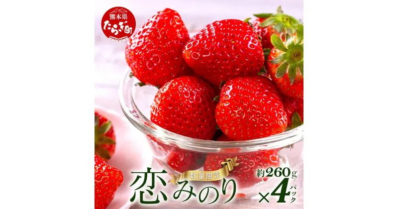 【ふるさと納税】先行予約 熊本県産 いちご【恋みのり】約260g×4パック 2025年1月～発送 坂下農園 産地直送 国産 新鮮 フレッシュ イチゴ 4パック 苺 フルーツ 果物 春 名産 熊本 多良木町 ビタミン 旬 いちご フルーツ 果物 くだもの 果実 熊本県 多良木町 送料無料