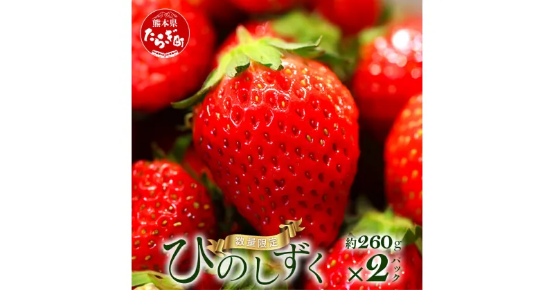 【ふるさと納税】先行予約 熊本県産 いちご【ひのしずく】約260g×2パック 103-0005 坂下農園 産地直送 国産 希少 新鮮 フレッシュ イチゴ 2パック 苺 フルーツ 果物 春 名産 熊本 多良木町 ビタミン 旬 いちご フルーツ 果物 くだもの 果実 熊本県 多良木町 送料無料