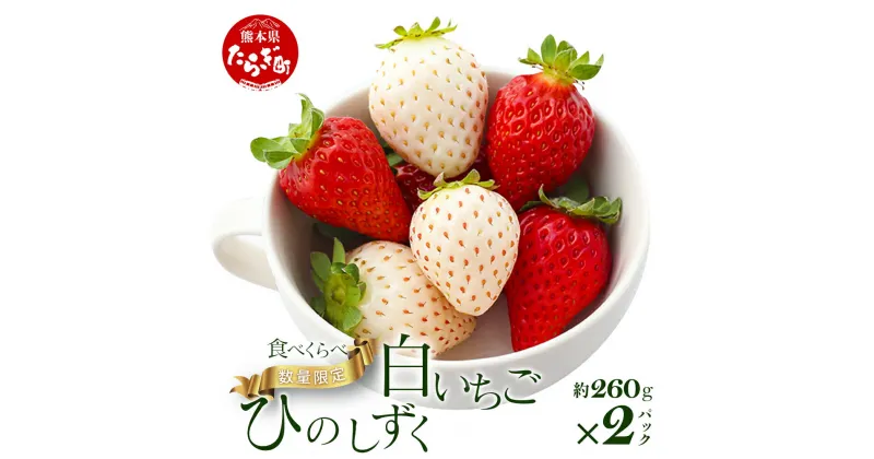 【ふるさと納税】先行予約 熊本県産 いちご【ひのしずく・白いちご】食べ比べセット約260g×2パック 2025年1月～発送 坂下農園 産地直送 国産 新鮮 フレッシュ イチゴ 苺 フルーツ 果物 春 名産 熊本 多良木町 旬 いちご フルーツ くだもの 果実 熊本県 多良木町 送料無料