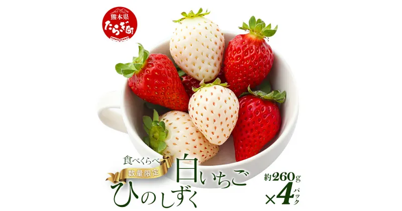 【ふるさと納税】先行予約 熊本県産 いちご【ひのしずく・白いちご】食べ比べセット約260g×4パック 2025年1月～発送 坂下農園 産地直送 国産 新鮮 フレッシュ イチゴ 苺 フルーツ 果物 春 名産 熊本 多良木町 旬 いちご フルーツ くだもの 果実 熊本県 多良木町 送料無料