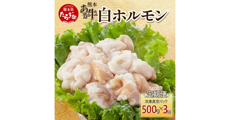 【ふるさと納税】【定期便3回】熊本あか牛 白ホルモン 計1.5Kg (250g×2)×3回 冷凍真空パック【 熊本 熊本県産 あか牛 冷凍 真空 もつ鍋 ホルモン 焼き肉 】 041-0139