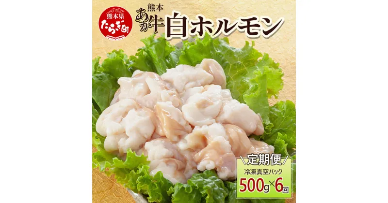 【ふるさと納税】【定期便6回】熊本あか牛 白ホルモン 計3Kg (250g×2)×6回 冷凍真空パック【 熊本 熊本県産 あか牛 冷凍 真空 もつ鍋 ホルモン 焼き肉 】 041-0140