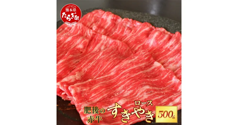 【ふるさと納税】熊本県 肥後 の 赤牛 ロース すきやき用 500g ブランド牛 牛肉 すき焼き スキヤキ 多良木町 国産 和牛 焼き肉 スライス お取り寄せ グルメ 肥後 国産 九州 熊本県産 冷凍配送 熊本県 多良木町 定期便 送料無料