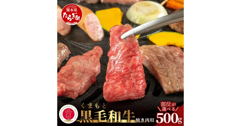 【ふるさと納税】＼部位を選べる／ G1認証 くまもと黒毛和牛 500g ブランド 牛肉 《上モモ肉 焼肉用》《バラ肉》《切り落とし》 熊本県産 高級 黒毛和牛 和牛 高級 黒毛和牛 和牛 お取り寄せ グルメ 冷凍 熊本県 多良木町 九州産 国産 送料無料 100-0008