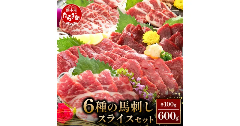 【ふるさと納税】 熊本県 桜屋 馬刺し スライスセット6種 計600g 特上トロ・トロ・霜降り・特選赤身・特上赤身・上赤身 各100g 熊本県 多良木町 ふるさと納税 馬刺し 本場 熊本 部位 食べ比べ 馬 肉 赤身 霜降り ヘルシー 赤身 本場 送料無料