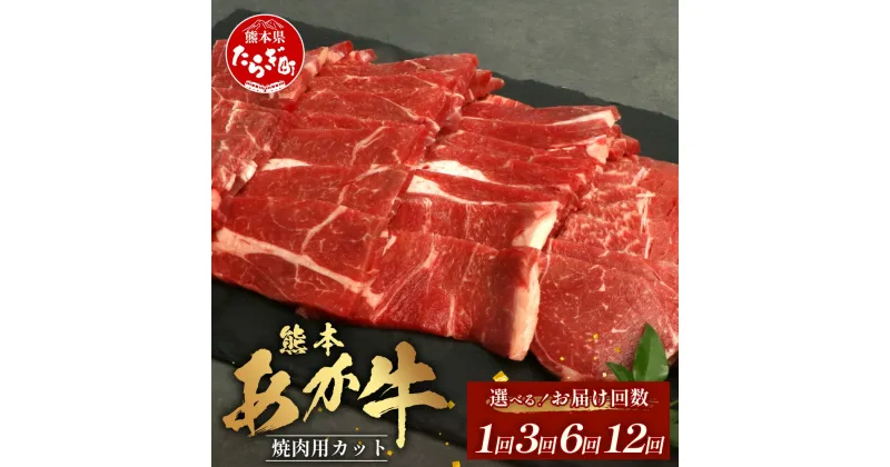 【ふるさと納税】 ≪配送回数が選べる≫ 熊本あか牛 焼肉用カット ( バラ ・ ロース ) 500g 1回 ・ 3回 ・ 6回 ・12回 くまもとあか牛 国産牛 牛 牛肉 肉 和牛 赤身 サシ 国産 牛肉 ギフト 贈答用 熊本 送料無料 GI認証取得 冷凍 熊本 熊本県産 あか牛 赤牛 切り落とし