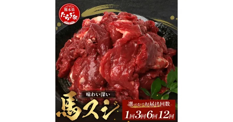 【ふるさと納税】《配送回数が選べる》熊本県 馬スジ 1kg（500g×2） 1回 ・ 3回 ・ 6回・12回 馬肉 すじ肉 大容量 本場 熊本県 馬 赤身 煮込み カレー シチュー 冷凍 真空 熊本 肥育 ヘルシー 赤身 肉 高栄養 肉 041-0149