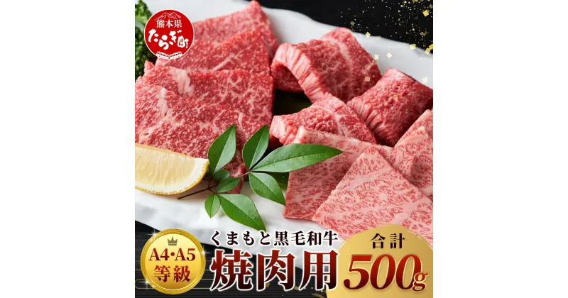 【ふるさと納税】≪ A4～ A5 等級 ≫ くまもと黒毛和牛 焼肉用 500g ブランド 牛肉 肉 やき肉 焼き肉 バラ ロース モモ 和牛 国産 熊本県 上級 上質 BBQ アウトドア お肉 冷凍 九州産 熊本県産 送料無料