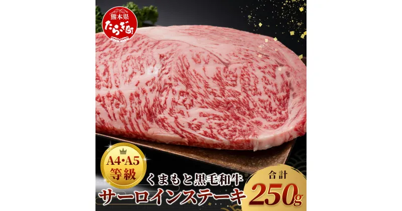 【ふるさと納税】≪ A4～ A5 等級 ≫ くまもと 黒毛和牛 サーロインステーキ 250g ブランド 牛肉 肉 サーロイン ステーキ 250g×1枚 ご馳走 ご褒美 和牛 国産 熊本県 上級 上質 お肉 冷凍 お取り寄せ グルメ マラソン スーパーセール 九州産 熊本県産 送料無料