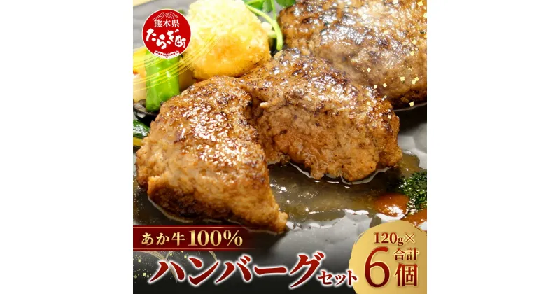 【ふるさと納税】≪発送時期選べる≫ 熊本県産 あか牛 100％ ハンバーグ 120g×6個 本場 くまもと あか牛 冷凍 牛肉 赤牛 肉 熊本産 国産 和牛 ハンバーグ 熊本 惣菜 お弁当 個包装 小分け ビーフ ハンバーグ 年内発送 年内配送 冷凍 送料無料