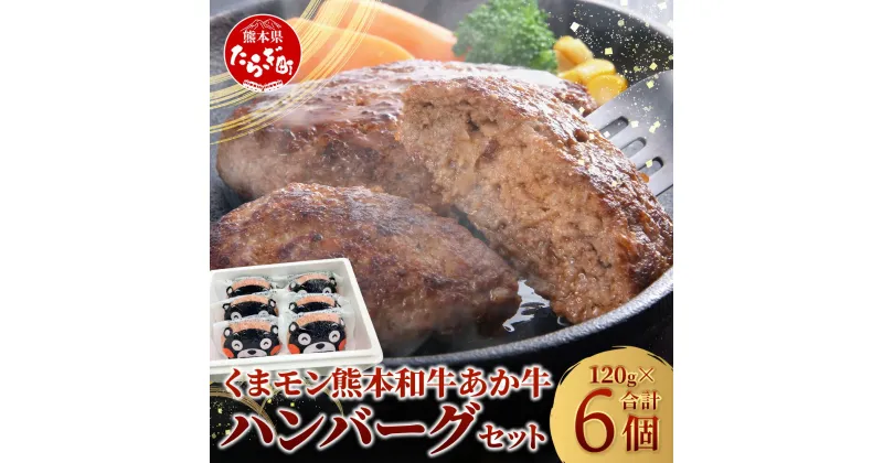 【ふるさと納税】≪発送時期選べる≫ 熊本県産 あか牛 100％ ハンバーグ 120g×6個 あか牛のたれ200ml セット くまモン パッケージ 本場 くまもと あか牛 冷凍 牛肉 赤牛 肉 熊本産 国産 和牛 ハンバーグ 熊本 惣菜 個包装 小分け ビーフ ハンバーグ 年内発送 年内配送