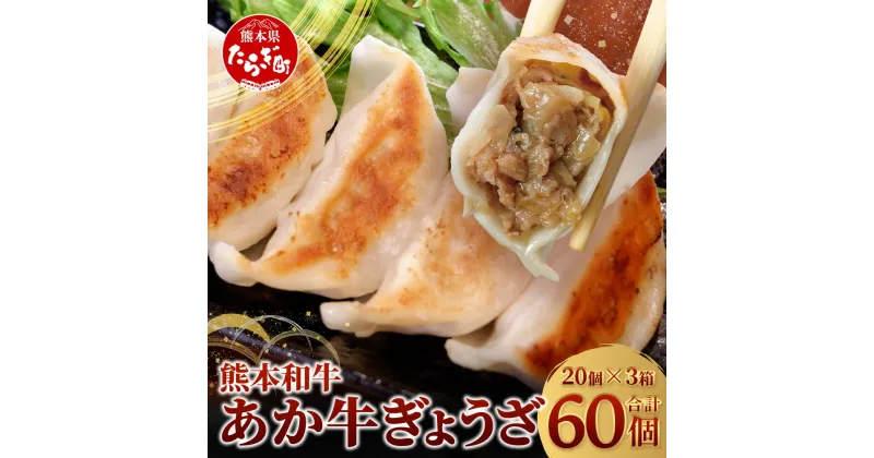 【ふるさと納税】餃子 熊本和牛 あか牛 ぎょうざ 60個 ≪ 熊本 あか牛 餃子 20個入り×3箱 ≫ 熊本県 和牛 あか牛 冷凍 生餃子 ぎょうざ おかず 総菜 お弁当 お取り寄せグルメ 冷凍 ストック 常備 大容量 熊本 多良木 惣菜 送料無料