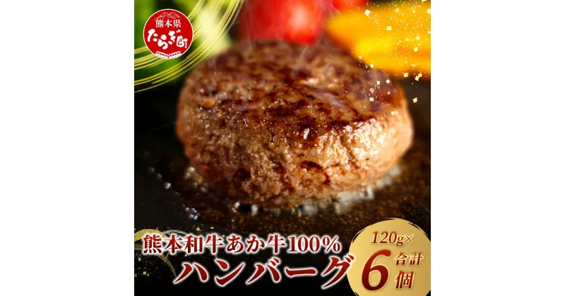 【ふるさと納税】熊本県産 あか牛 100％ ハンバーグ NEWパッケージ 甲誠牛BOX セット 120g×6個 本場 くまもと あか牛 冷凍 牛肉 赤牛 肉 熊本産 国産 和牛 ハンバーグ 熊本 惣菜 お弁当 個包装 小分け ビーフ ハンバーグ ギフト 贈り物 お中元 お歳暮 お礼の品