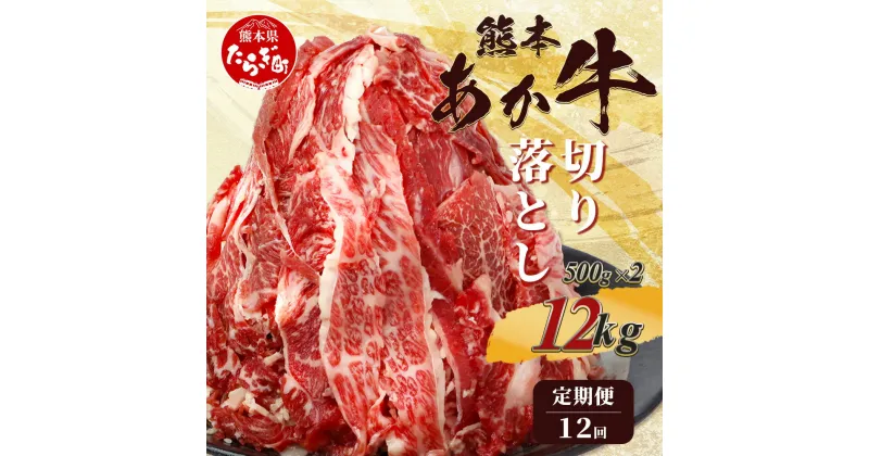 【ふるさと納税】 【定期便12回】 熊本あか牛 切り落とし 1kg (500g×2)×12回 【 合計 12Kg 】 牛肉 肉 熊本 熊本県産 あか牛 赤牛 切り落とし 切落し 焼肉 牛丼 多彩な料理に 国産 九州産 送料無料 041-0138