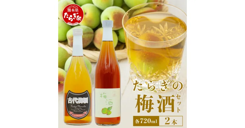 【ふるさと納税】たらぎの 梅酒 セット 720ml × 2本 ≪古代梅酒≫≪ 梅酒文蔵≫ 球磨焼酎 多良木町 米 焼酎 梅 うめ酒 お酒 球磨 贈り物 ギフト 熊本県 多良木町 送料無料