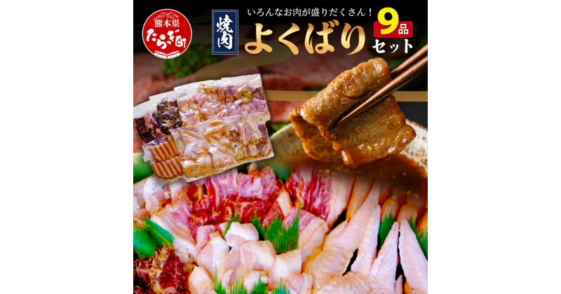 【ふるさと納税】数量限定 村上精肉店の 焼肉 よくばりセット 【 9品 味付き 焼くだけ 】 牛カルビ ハラミ 豚バラ タン トントロ 鶏せせり 鶏もも 手羽先 ウインナー 焼き肉 BBQ アウトドア キャンプ 送料無料