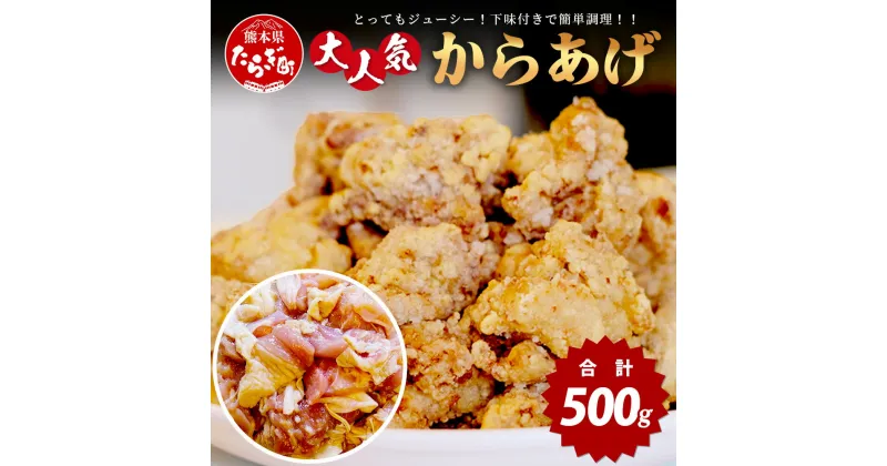 【ふるさと納税】村上精肉店 大人気の からあげ 500g 国内産 鶏 味付き ジューシー 手軽 冷凍 国産 お弁当 おかず 常備 ストック 便利 国産 カラアゲ 味付け 唐揚げ 1万円 以下 送料無料