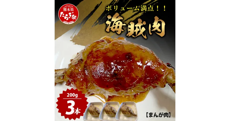 【ふるさと納税】 村上精肉店 海賊肉 （まんが肉） 約200g×3本 国内産 肉 憧れの 肉 ハンバーグ ベーコン 鶏皮 焼くだけ アウトドア バーベキュー キャンプ 1万円 以下 送料無料