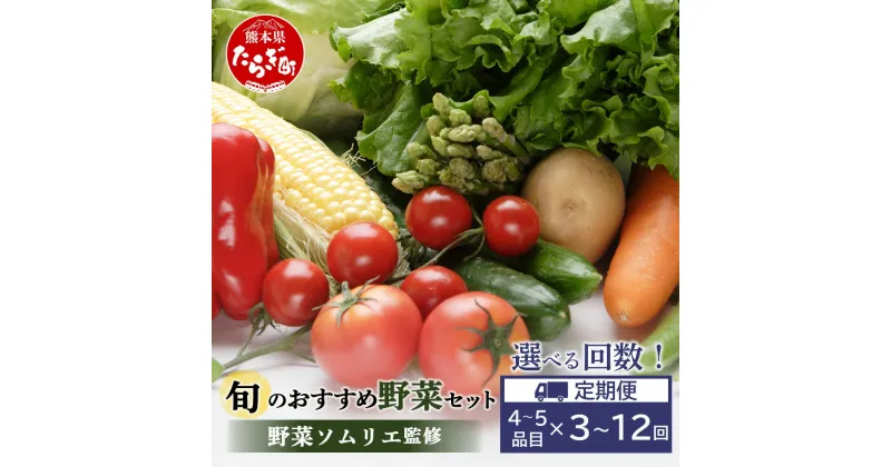 【ふるさと納税】回数選べる 定期便 ≪ 野菜ソムリエ 監修 ≫ 旬の おすすめ 野菜 セット 4〜5品 (1〜2名様向け) 1回／3回／6回／12回 定期便 野菜 獲れたて 直送 旬 熊本県 多良木町 やさい ソムリエ 厳選 おまかせ おすすめ セレクト お試し 024-0801