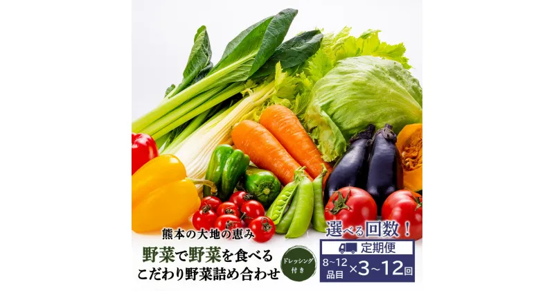 【ふるさと納税】熊本の大地の恵み ≪ 野菜で野菜を食べる こだわりセット ≫ ドレッシング 付 野菜 詰め合わせ 8〜12品(3〜4名) 1回・3回・6回・12回 野菜 定期便 直送 旬 熊本県 多良木町 やさい 詰め合わせ 厳選 産地 直送 国産 季節 野菜 家族 送料無料