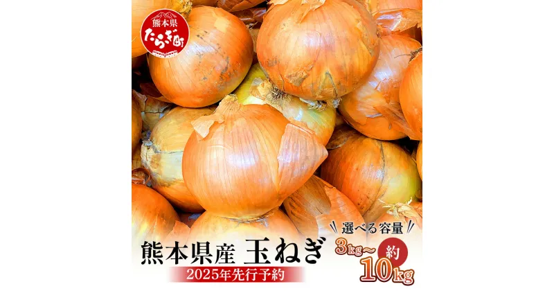 【ふるさと納税】【先行予約】選べる 内容量 熊本県産 玉ねぎ 3kg/5kg/10kg ≪2025年4月下旬から順次発送≫ 選べる 内容量 玉葱 野菜 たまねぎ オニオン 甘い ハンバーグ 肉じゃが 新鮮 産地直送 送料無料 065-0635