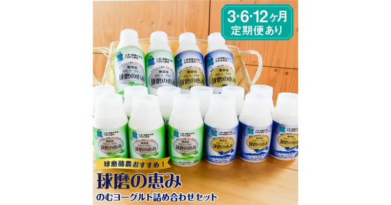 【ふるさと納税】球磨の恵みのむヨーグルト詰め合わせセット 定期便 3回 6回 12回 送料無料 のむヨーグルト 乳製品 乳酸菌 善玉菌 健康 美容 腸活 健康