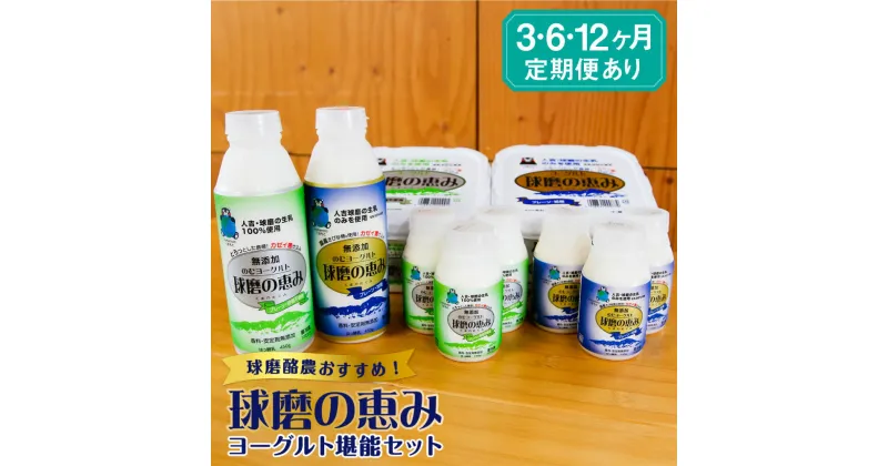 【ふるさと納税】球磨酪農おすすめ 球磨の恵みヨーグルト堪能セット 定期便 3回 6回 12回 送料無料 ヨーグルト 乳製品 スイーツ 乳酸菌 善玉菌 健康 美容 腸活 健康