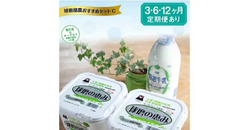 【ふるさと納税】球磨酪農おすすめセットC 瓶牛乳&ヨーグルト砂糖不使用×2個 定期便 3回 6回 12回 ヨーグルト 乳製品 スイーツ 牛乳 ミルク 乳酸菌 善玉菌 健康 美容 腸活 健康 送料無料