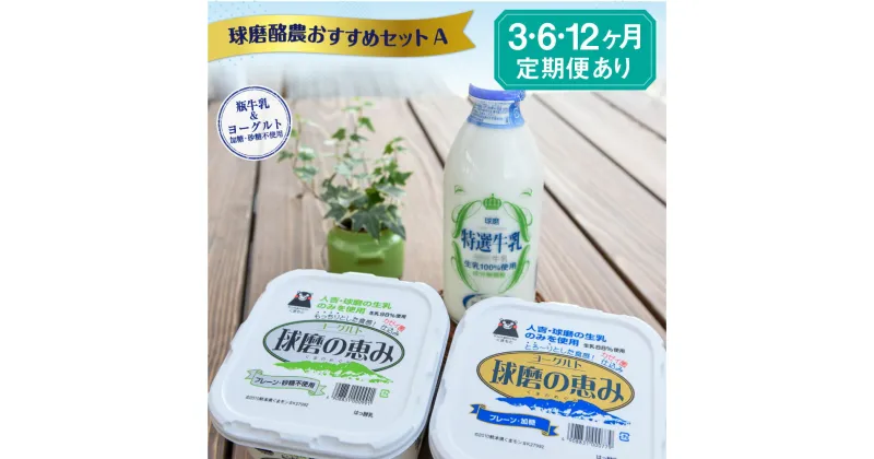 【ふるさと納税】球磨酪農おすすめセットA 瓶牛乳&ヨーグルト加糖・砂糖不使用 定期便 3回 6回 12回 ヨーグルト 乳製品 スイーツ 牛乳 ミルク 乳酸菌 善玉菌 健康 美容 腸活 健康 送料無料