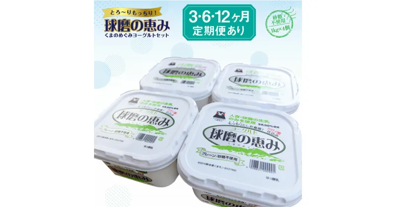 【ふるさと納税】球磨の恵みヨーグルトセット 砂糖不使用1kg×4個 定期便 3回 6回 12回 ヨーグルト 乳製品 スイーツ 乳酸菌 善玉菌 健康 美容 腸活 健康 送料無料